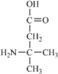 Which of the amino acids is a building block for proteins? A)    B)    C)    D)    E)   