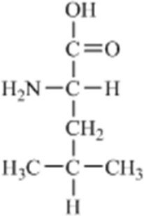 Which of the amino acids is a building block for proteins? A)    B)    C)    D)    E)   
