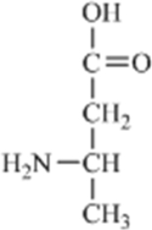 Which of the amino acids is a building block for proteins? A)    B)    C)    D)    E)   