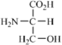 Which amino acid contains a polar side chain? A)    B)    C)    D)    E)   