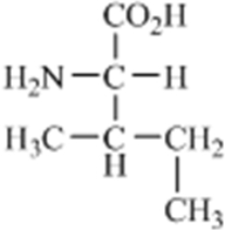 Which amino acid contains a polar side chain? A)    B)    C)    D)    E)   
