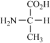Which amino acid contains a polar side chain? A)    B)    C)    D)    E)   