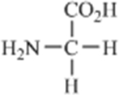 Which amino acid contains a polar side chain? A)    B)    C)    D)    E)   