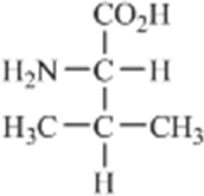 Which amino acid contains a polar side chain? A)    B)    C)    D)    E)   