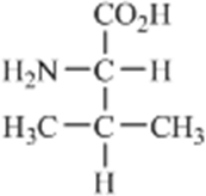 Which amino acid contains a nonpolar side chain? A)    B)    C)    D)    E)   