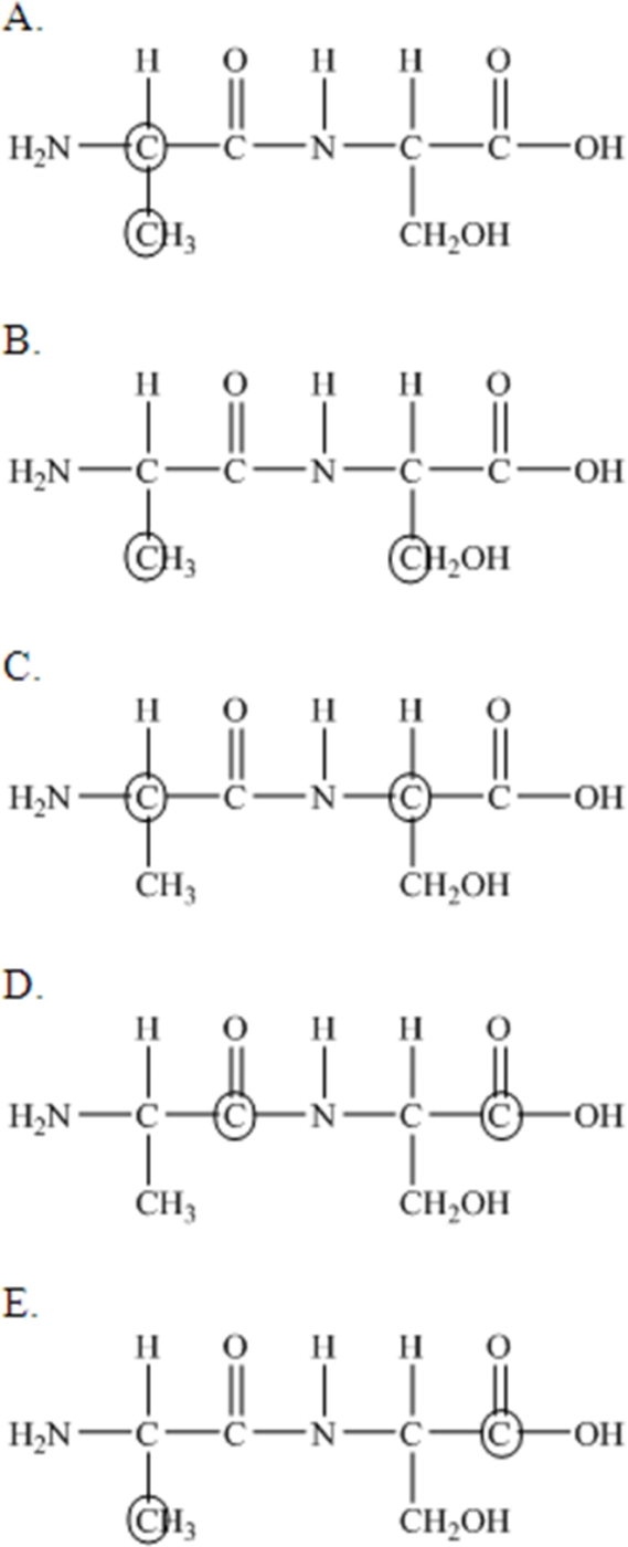The following peptide is formed from two amino acids: Which of the following correctly identifies the alpha carbons as indicated by the circled atoms?     A) A B) B C) C D) D E) E