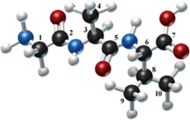 The following molecule is formed by three amino acids: Identify the alpha carbons (using the numbers as shown)  and the side chains for each amino acid in the molecule.   A) 1, 2; H, CO B) 3, 5, 8; CH<sub>3</sub>, CO, CH<sub>2</sub>(CH<sub>3</sub>) <sub>2</sub><sub> </sub> C) 1, 3, 5; H, CH<sub>3</sub>, CO D) 2, 3, 8; CO, CH<sub>3</sub>, CH<sub>3</sub><sub> </sub> E) 1, 3, 6; H, CH<sub>3</sub>, CH<sub>2</sub>(CH<sub>3</sub>) <sub>2</sub><sub> </sub>