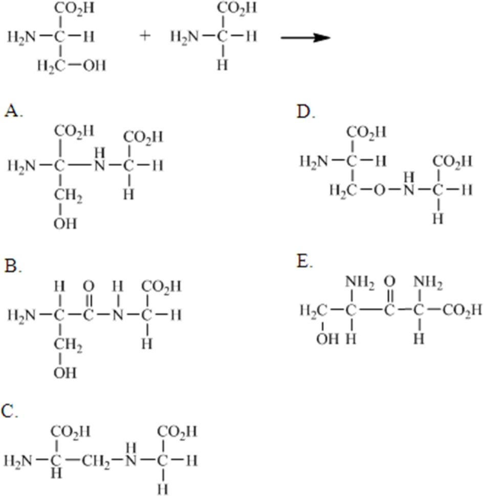 Which of the following correctly shows the product of the reaction between serine and glycine?   A) A B) B C) C D) D E) E