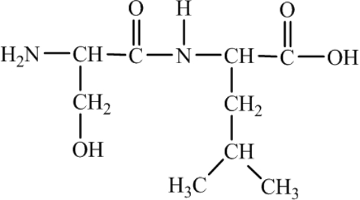 How many different amino acids are obtained by hydrolyzing all the peptide bonds in the following polypeptide?   A) 1 B) 2 C) 3 D) 4 E) 5