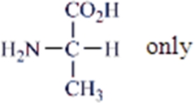 <strong>Which amino acids are obtained by hydrolyzing all the peptide bonds in the following polypeptide?  </strong> A)   B)   C)   D)   E)   <div style=padding-top: 35px> 