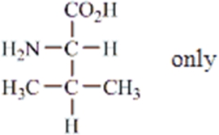 <strong>Which amino acids are obtained by hydrolyzing all the peptide bonds in the following polypeptide?  </strong> A)   B)   C)   D)   E)   <div style=padding-top: 35px> 