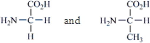 <strong>Which amino acids are obtained by hydrolyzing all the peptide bonds in the following polypeptide?  </strong> A)   B)   C)   D)   E)   <div style=padding-top: 35px> 