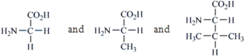 <strong>Which amino acids are obtained by hydrolyzing all the peptide bonds in the following polypeptide?  </strong> A)   B)   C)   D)   E)   <div style=padding-top: 35px> 