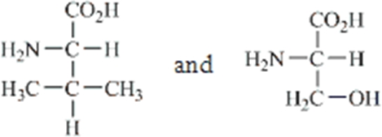 Which amino acids are obtained by hydrolyzing all the peptide bonds in the following polypeptide?   A)    B)    C)    D)    E)   