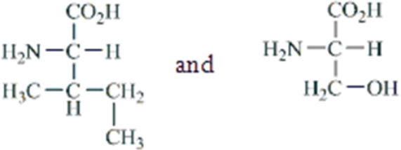 Which amino acids are obtained by hydrolyzing all the peptide bonds in the following polypeptide?   A)    B)    C)    D)    E)   