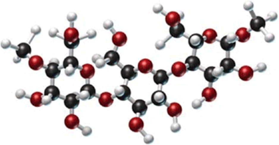 Identify the type of carbohydrate shown in this model.   A) monosaccharide B) disaccharide C) polysaccharide D) pentose E) cellulose