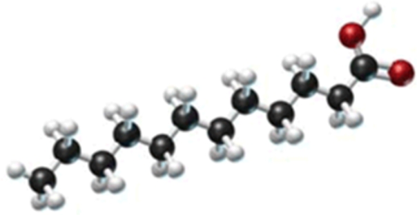 A triglyceride contains the following fatty acid.Is this triglyceride a fat or an oil? Is it a liquid or a solid? Is it saturated or unsaturated?   A) solid fat, unsaturated B) solid fat, saturated C) liquid fat, unsaturated D) liquid oil, unsaturated E) liquid oil, saturated