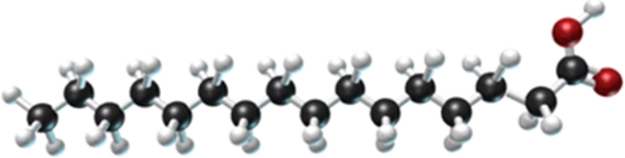 A triglyceride is formed from the following fatty acid.Is this triglyceride a fat or an oil? Is it a solid or a liquid? Is it saturated or unsaturated?   A) solid fat, unsaturated B) solid fat, saturated C) liquid fat, unsaturated D) liquid oil, unsaturated E) liquid oil, saturated