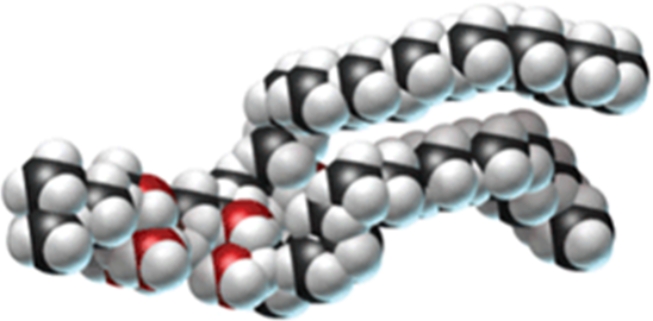 Classify the following molecule:   A) glycolipid B) phospholipid C) triglyceride D) lecithin E) wax