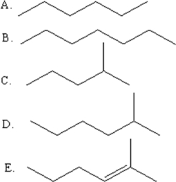Select the line drawing for 2-methylhexane.   A) A B) B C) C D) D E) E