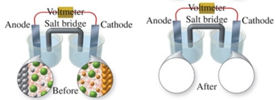  The figure shows a molecular-level representation of the following voltaic cell: Mg(s)  + Sn<sup>2+</sup>(aq)   \rightarrow  Mg<sup>2+</sup>(aq)  + Sn(s)  When drawing the  after  representation one would note that:   A) the tin electrode will be smaller. B) the magnesium electrode will be larger. C) the number of Mg<sup>2+ </sup>ions in solution will remain constant. D) deposits will form in the salt bridge. E) the number of Sn<sup>2+</sup> ions in solution will decrease. 