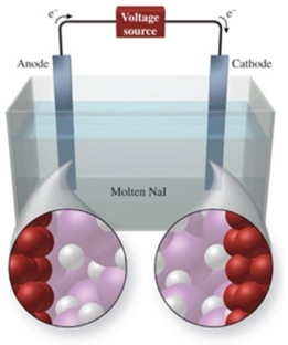  The figure shows the electrolysis of molten NaI.What reaction occurs at the anode of this cell?   A) NaI(l)  \rightarrow NaI<sub>2</sub>(l)  B) I<sup>-</sup>(l)  + e<sup>-</sup>  \rightarrow I<sup>2</sup><sup>-</sup><sup> </sup> C) Na<sup>+</sup>(l)  + e<sup>-</sup>  \rightarrow Na(l)  D) 2I<sup>-</sup>(l)  + e<sup>-</sup> \rightarrow I<sub>2</sub>(g)  E) 2I<sup>-</sup>(l)   \rightarrow I<sub>2</sub>(g)  + 2e<sup>-</sup><sup> </sup> 