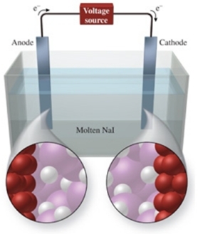  The figure shows the electrolysis of molten NaI.What reaction occurs at the cathode of this cell?   A) NaI(l)   \rightarrow  NaI<sub>2</sub>(l)  B) I<sup>-</sup>(l)  + e<sup>-</sup><sup> </sup> \rightarrow I<sup>2</sup><sup>-</sup><sup> </sup> C) Na<sup>+</sup>(l)  + e<sup>-</sup>  \rightarrow Na(l)  D) 2I<sup>-</sup>(l)  + e<sup>-</sup>  \rightarrow I<sub>2</sub>(g)  E) 2I<sup>-</sup>(l)   \rightarrow  I<sub>2</sub>(g)  + 2e<sup>-</sup><sup> </sup> 
