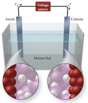  The figure shows the electrolysis of molten NaI.What reaction occurs at the anode of this cell?   A) NaI(l)   \rightarrow  Na<sup>+</sup>(l)  + I<sup>-</sup>(l)  B) NaI(l)   \rightarrow Na(l)  + I(g)  C) NaI(s)  \rightarrow Na<sup>+</sup>(aq)  + I<sup>-</sup>(aq)  D) 2NaI(s)   \rightarrow  2Na(s)  + I<sub>2</sub>(s)  E) 2NaI(l)   \rightarrow  2Na(l)  + I<sub>2</sub>(g)  