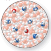 The image shows a molecular-level representation of part of a solution after ammonia, NH<sub>3</sub>, is dissolved in water.(Besides water, there are 2 NH<sub>4</sub><sup>+</sup> ions, 6 NH<sub>3</sub> molecules, and 2 OH<sup>-</sup> ions present in the solution.) .Which of the following best describes NH<sub>3</sub>?   A) strong acid B) strong base C) weak acid D) weak base E) amphoteric