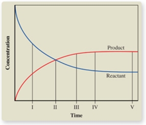 The graph shows the change in concentrations of the reactant and product as a reaction proceeds.At what point is equilibrium first reached?   A) I B) II C) III D) IV E) V