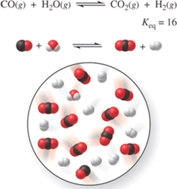 Consider the reaction CO(g)  + H<sub>2</sub>O(g)  CO<sub>2</sub>(g)  + H<sub>2</sub>(g) , represented by the following diagram:   What is the composition of this system when the reaction reaches equilibrium? A) 3 CO, 3 H<sub>2</sub>O, 7 CO<sub>2</sub>, 7 H<sub>2</sub><sub> </sub> B) 1 CO, 1 H<sub>2</sub>O, 4 CO<sub>2</sub>, 4 H<sub>2</sub><sub> </sub> C) 2 CO, 2 H<sub>2</sub>O, 8 CO<sub>2</sub>, 8 H<sub>2</sub><sub> </sub> D) 8 CO, 8 H<sub>2</sub>O, 2 CO<sub>2</sub>, 2 H<sub>2</sub><sub> </sub> E) 4 CO, 6 H<sub>2</sub>O, 4 CO<sub>2</sub>, 6 H<sub>2</sub><sub> </sub>