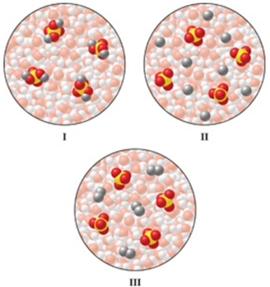 Which of the diagrams in the figure best represents an aqueous solution of Na<sub>2</sub>SO<sub>4</sub>?   A) I B) II C) III D) either I or III E) none of these is correct