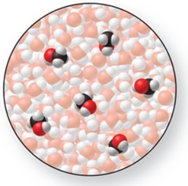 The solute in the solution shown in the figure is a nonelectrolyte.  