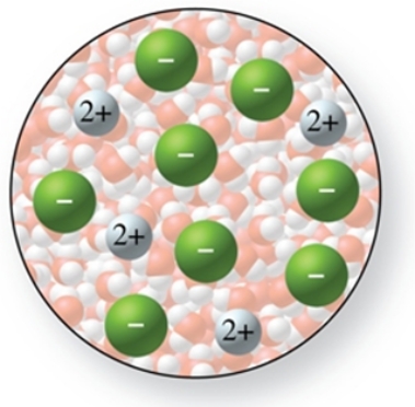 The solute in the solution shown in the figure is a nonelectrolyte.  