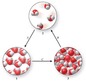 Three phases of water are shown in the figure.List the terms used to identify the phase changes indicated by the arrows.   A) A = sublimation, B = vaporization, C = freezing B) A = condensation, B = sublimation, C = melting C) A = freezing, B = vaporization, C = melting D) A = deposition, B = vaporization, C = melting E) A = deposition, B = sublimation, C = freezing