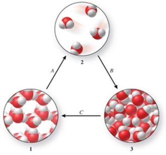 Three phases of water are shown in the figure.List the terms used to identify the phase changes indicated by the arrows.   A) A = sublimation, B = vaporization, C = freezing B) A = vaporization, B = condensation, C = melting C) A = vaporization, B = deposition, C = melting D) A = sublimation, B = condensation, C = freezing E) A = condensation, B = sublimation, C = freezing