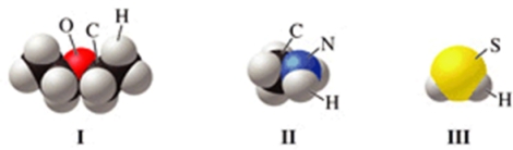 Which of the molecules in the figure has hydrogen bonding in the pure liquid state?   A) I only B) II only C) III only D) II and III E) I and II