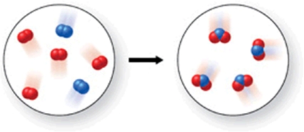  Which of the following is the best (simplest)  balanced equation to represent the chemical reaction shown in the figure on any scale?   A) 4A + 8B  \rightarrow 12AB B) 2A<sub>2</sub> + 4B<sub>2</sub>  \rightarrow 4A<sub>2</sub>B C) 2A<sub>2</sub> + 4B<sub>2</sub>  \rightarrow 4AB<sub>2</sub><sub> </sub> D) A<sub>2</sub> + B<sub>2</sub> \rightarrow AB<sub>2</sub><sub> </sub> E) A<sub>2</sub> + 2B<sub>2</sub>  \rightarrow 2AB<sub>2</sub><sub> </sub> 