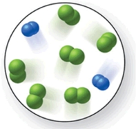  When the mixture of molecules shown in the molecular-level image undergoes complete reaction, all of these molecules are converted to products.Which of the following reactions could this represent?   A) 2N<sub>2</sub> + 3O<sub>2</sub>  \rightarrow 2N<sub>2</sub>O<sub>3</sub><sub> </sub> B) N<sub>2</sub> + 2Cl<sub>2</sub> \rightarrow N<sub>2</sub>Cl<sub>4</sub><sub> </sub> C) O<sub>2</sub> + 2H<sub>2</sub>  \rightarrow 2H<sub>2</sub>O D) N<sub>2</sub> + 3Cl<sub>2</sub> \rightarrow 2NCl<sub>3</sub><sub> </sub> E) 3N<sub>2</sub> + 2H<sub>2</sub>  \rightarrow 3N<sub>2</sub>H<sub>4</sub><sub> </sub> 
