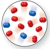  Consider the reaction N<sub>2</sub>(g)  + 2O<sub>2</sub>(g)   \rightarrow 2NO<sub>2</sub>(g) .The molecular image represents a mixture of N<sub>2</sub>(g)  and O<sub>2</sub>(g)  just before reaction occurs.What is the limiting reactant, and how much of the excess reactant remains after the reaction is complete? The image contains 3 N<sub>2</sub> molecules and 9 O<sub>2</sub> molecules.   A) N<sub>2</sub>(g) , 6 O<sub>2</sub>(g)  B) O<sub>2</sub>(g) , 1 N<sub>2</sub>(g)  C) N<sub>2</sub>(g) , 3 O<sub>2</sub>(g)  D) O<sub>2</sub>(g) , 2 N<sub>2</sub>(g)  E) N<sub>2</sub>(g) , 7 O<sub>2</sub>(g)  