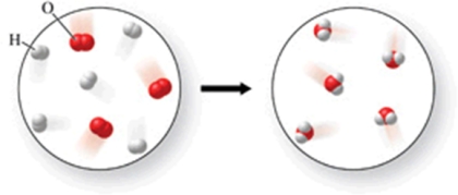 The figure shows a reaction between hydrogen and oxygen gases to produce water.Is the diagram accurate, and if not, what is wrong with it, and how could it be fixed?   A) There are too many water molecules on the right.Remove one water molecule from the image on the right. B) There are not enough oxygen atoms on the right.Add one more water molecule to the right image. C) There are too many oxygen atoms in the image on the left.Remove one oxygen molecule. D) There are not enough hydrogen atoms on the right.Add one more water molecule to the left image, and one more hydrogen molecule to the right image. E) The diagram is accurate as shown.