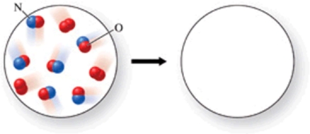Gaseous nitrogen monoxide reacts with oxygen gas to form brown nitrogen dioxide gas.What would the products of the reaction be, if the reactants are those shown in the figure?   A) 6 molecules of nitrogen dioxide B) 5 molecules of nitrogen dioxide, and 1 molecule of oxygen C) 6 molecules of nitrogen dioxide, and 1 molecule of oxygen D) 4 molecules of nitrogen dioxide, and 2 molecules of nitrogen monoxide E) 3 molecules of nitrogen dioxide, and 3 molecules of nitrogen monoxide