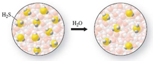How much water had to be added to 50.0 mL of the first solution to obtain the second solution?   A) 10.0 mL B) 33.3 mL C) 50.0 mL D) 83.3 mL E) 100.0 mL