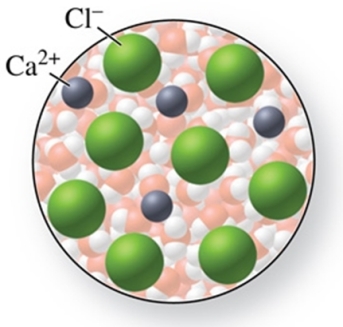 The solute in the solution shown in the figure is CaCl.  