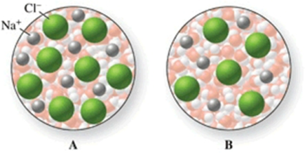 Image B in the figure shows a more concentrated solution because there are more water molecules.  