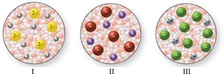 The images in the figure represent aqueous solutions of ionic compounds.Which could correspond to BaCl<sub>2</sub>?   A) I only B) II only C) III only D) I and III E) II and III