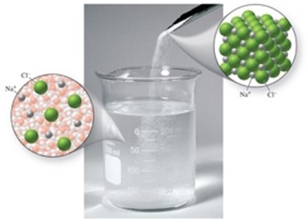 This image shows the process of melting sodium chloride.  