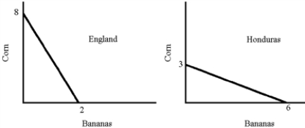 Figure 22-6   -From the graph in Figure 22-6,the opportunity cost of a unit of bananas is A)  4 units of corn for England; 1/2 unit of corn for Honduras. B)  1/4 unit of corn for England; 2 units of bananas in England. C)  8 units of corn in England; 3 units of corn in Honduras. D)  4 units of corn in England; 12 units of corn in Honduras.