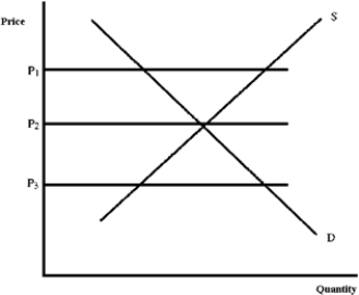 Figure 4-21   -Which price in Figure 4-21 is equilibrium? A)  P<sub>1</sub> B)  P<sub>2</sub> C)  P<sub>3</sub>
