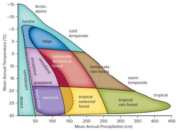 What biome has a mean annual precipitation over 250 cm.with relatively little seasonal variation,and warm temperatures over 20°C?   A) tropical dry forest B) temperate rain forest C) taiga D) tropical rain forest E) savanna